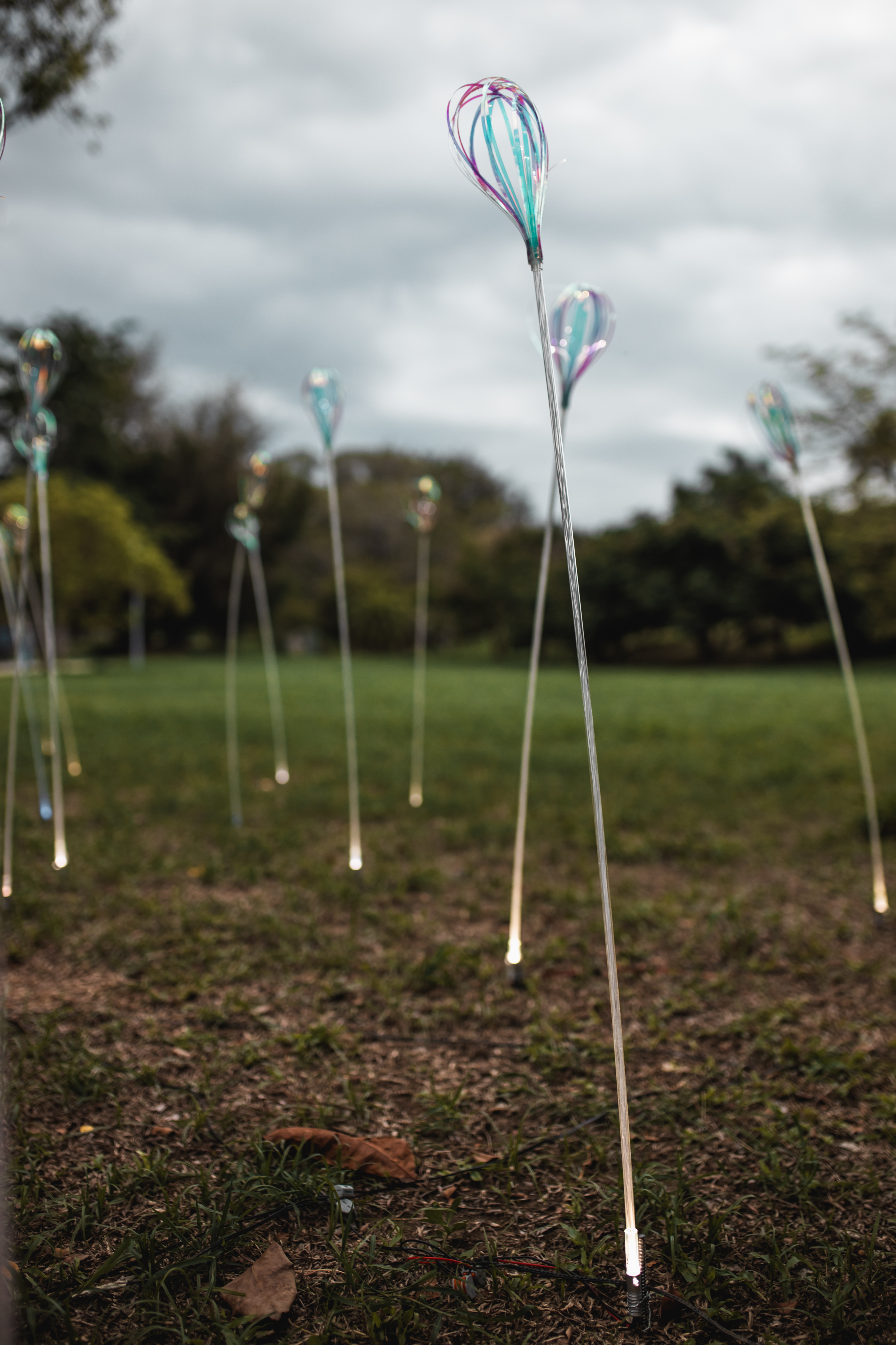 圖/高雄市政府提供