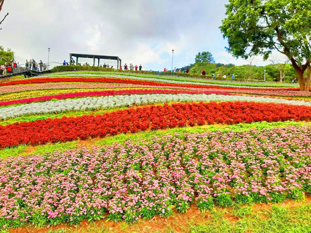 圖片提供/星期五體育課