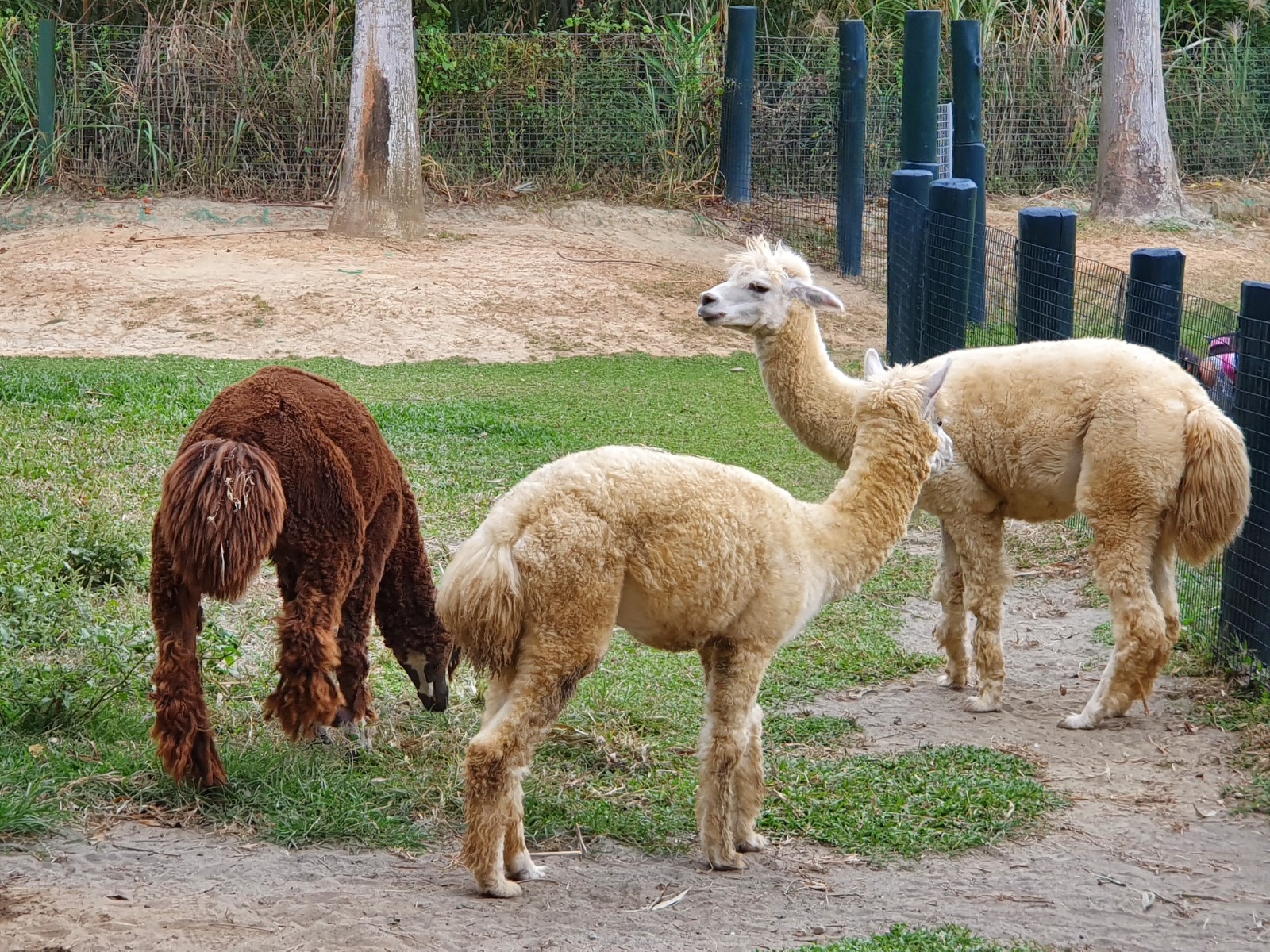 綠世界生態農場
