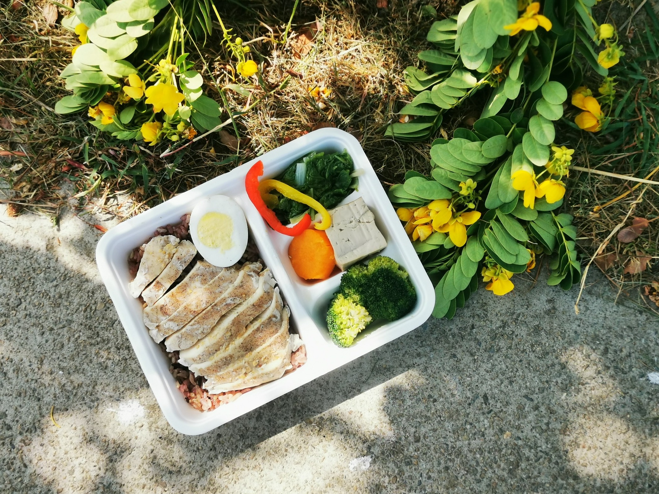 千里馬低卡低gi減醣少油水煮餐盒