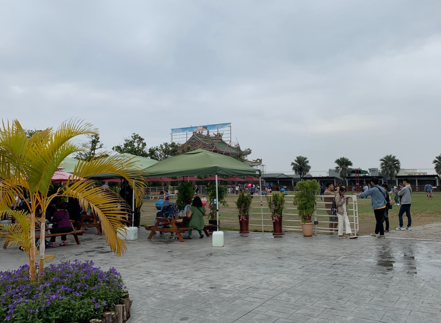 三隻小豬觀光農場