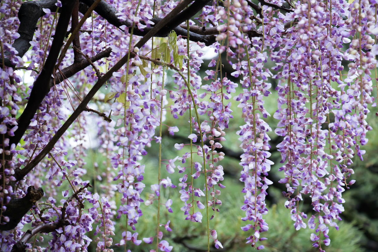 圖/shutterstock.com