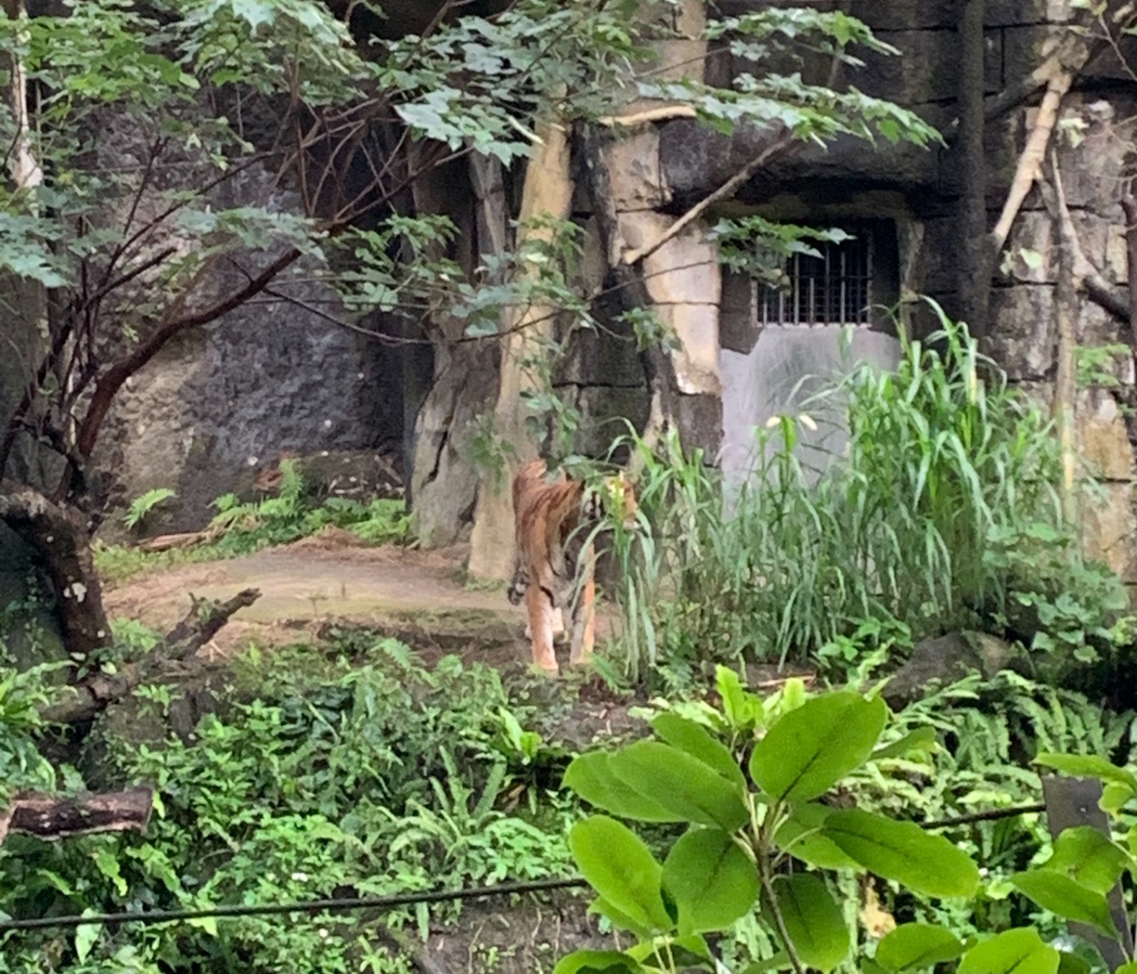 台北市立動物園