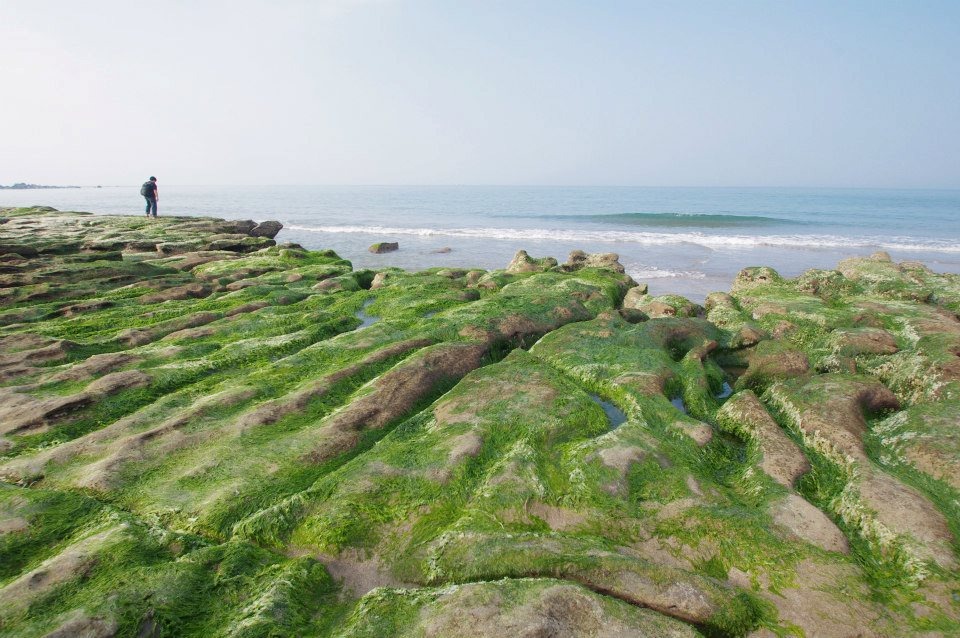 圖片提供/老梅綠石槽-LINE熱點用戶