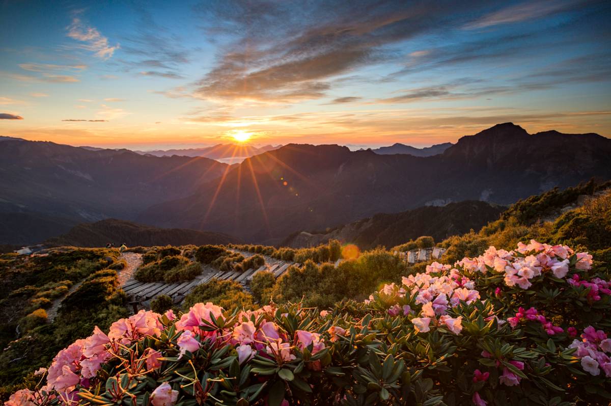 圖片來源/LINE熱點用戶