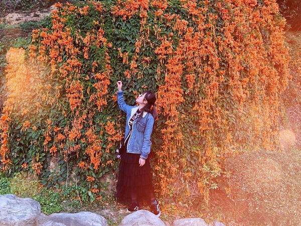 蓮華寺 @tobeybears