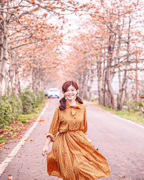 二林木棉花道 @delia 51