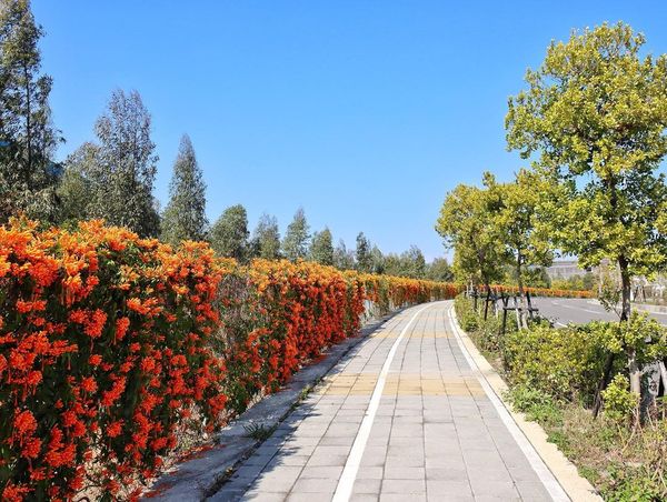 后科路 @kristy Wonderland(2)