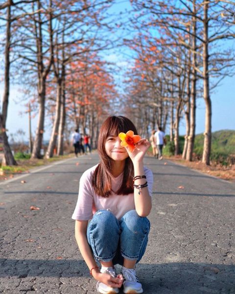 二林木棉花道 @bonnieilulu