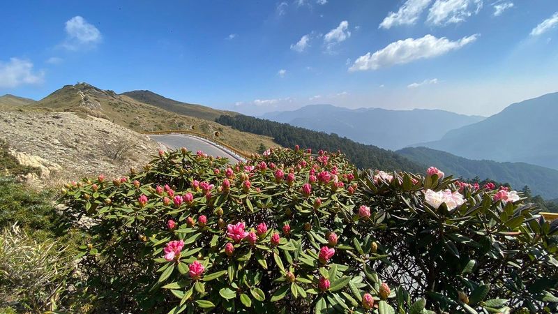 新手百岳登山 合歡山