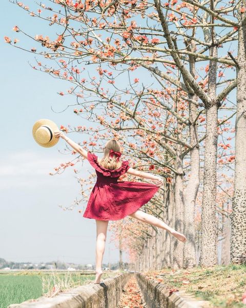 林初埤木棉花道 @plant Hui