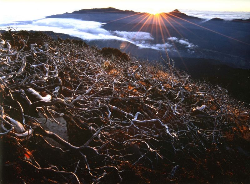 新手百岳登山 雪山